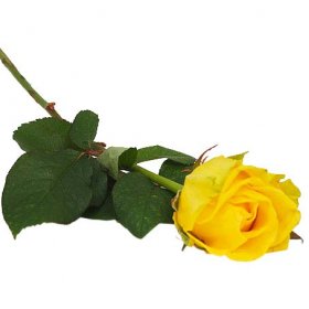 Begravning handblomma med en gul ros - Handblommor - Blommor till begravning
