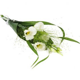 Begravning handblomma med vit prärieklocka